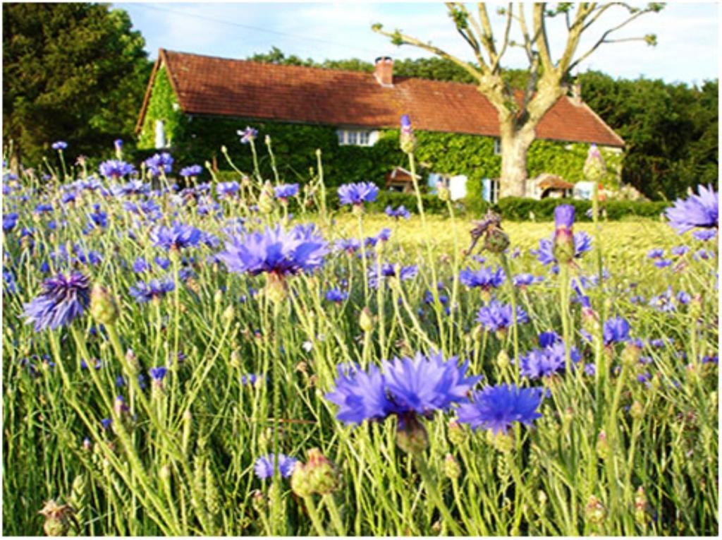 Auberge De La Tuilerie Surgy 외부 사진